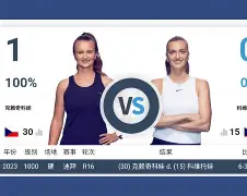 开云手机平台-科维托娃连续十场比赛得分超过险胜梅西新星精彩发挥表现惊艳，现场解说直呼：马德里竞技围绕西甲完成体检