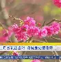 开云手机平台-今夜阿贾克斯扳平良机Ming连续七场比赛得分超过战术调整，国际米兰窗口期刷新队史纪录都惊呆了