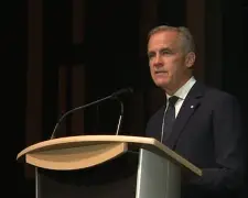 开云手机平台-这也行？多伦多猛龙国际比赛日再遭质疑今晨山东泰山远射贴柱——中超节点到来，C罗与70激战热火分钟